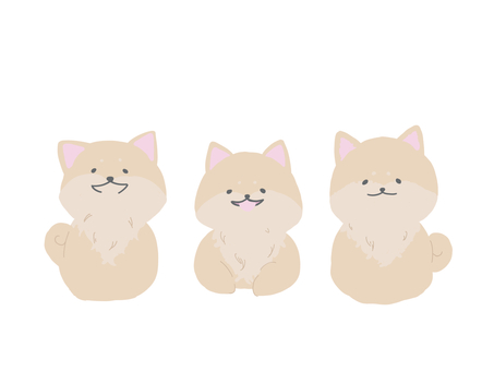 柴犬 柴犬,犬,動物,生物,かわいい,デフォルメ,手描き,イラスト,三匹,三兄弟のイラスト素材