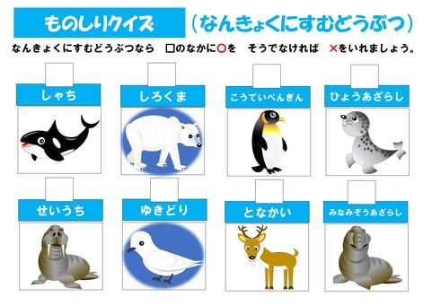 ものしりクイズ■南極にすむ動物 クイズ,南極,生き物,脊椎動物,哺乳類,鳥類のイラスト素材