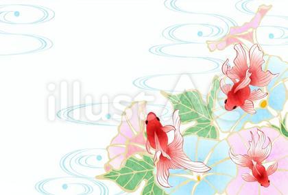 SummerCard24113