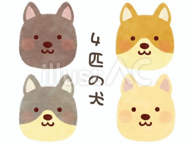 4匹の犬 犬,日本犬,北海道犬のイラスト素材
