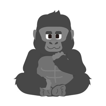 座っているゴリラ(正面) ゴリラ,生き物,動物,動物園,ワイルド,ポーズ,サル,野生動物,哺乳類,教材のイラスト素材