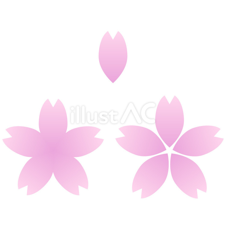 桜の花びら 桜,花びら,春のイラスト素材