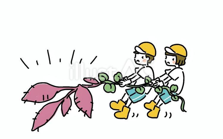 さつまいも掘りをする子どもたちのイラスト 芋掘り,さつまいも掘り,こどものイラスト素材