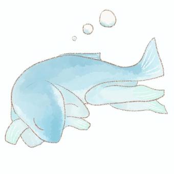 不思議な生き物４ 魚,生き物,うたたね,水彩,鉛筆のイラスト素材