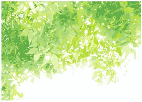 Fresh green background, JPG and AI Fresh green background, , JPG and AI