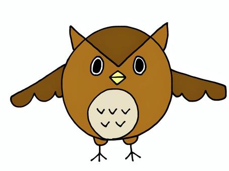 owl, , JPG and PNG