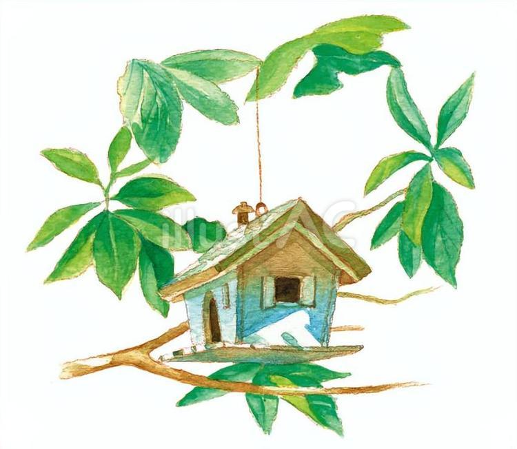 木の上の巣箱 鳥の巣,家,ハウスのイラスト素材
