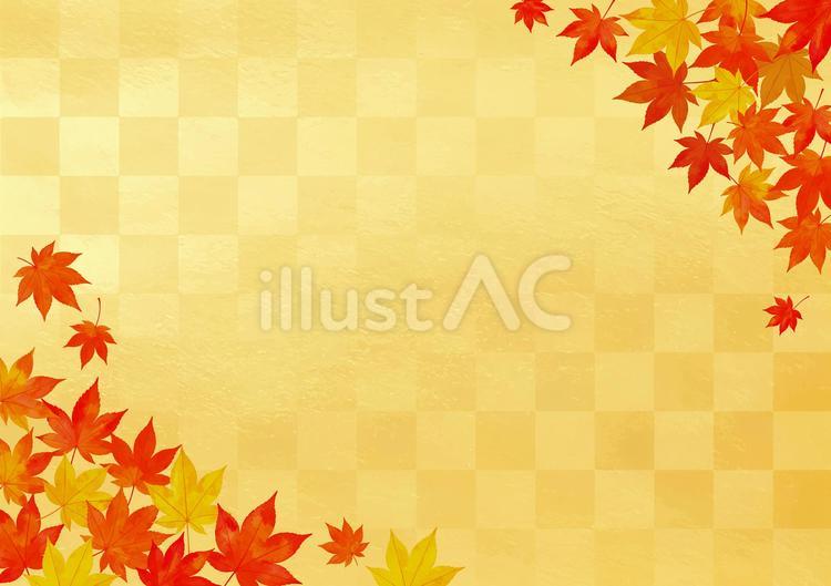 背景：金色の和紙と紅葉 金,秋,もみじのイラスト素材