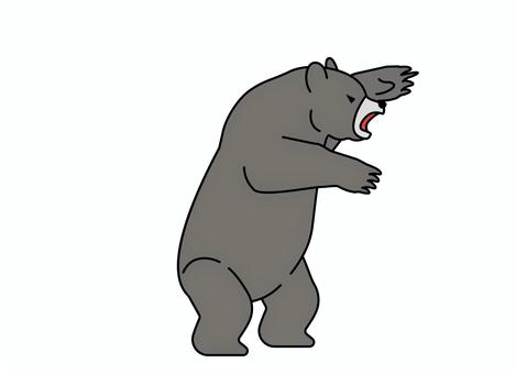襲う怖い熊　線画 熊,ヒグマ,立つ,襲う,害獣,リアル,全身,カラー,哺乳類,野生動物のイラスト素材