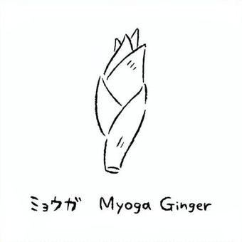 手描きのみょうが2_名称入_白黒 みょうが,夏,秋,野菜,アイコン,食べ物,シンプル,食材,健康,イラストのイラスト素材