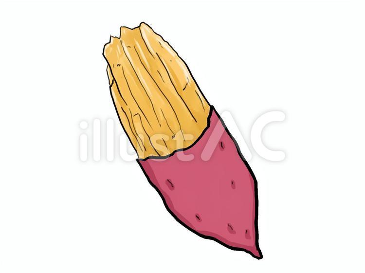 皮むきさつまいも さつまいも,焼き芋,ホクホクのイラスト素材