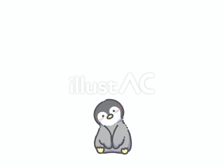 首を傾げるペンギンの子供 ペンギン,海,鳥のイラスト素材