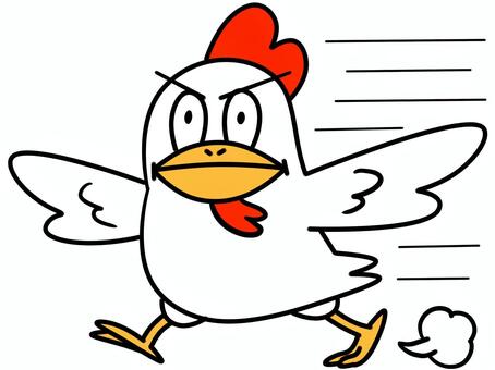 飛んでるつもりのニワトリ 飛ぶ,ニワトリ,鳥,飛んでるつもり,走るのイラスト素材