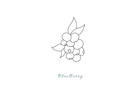 blueberry, فاكهة, توت, مصنع, JPG and PNG