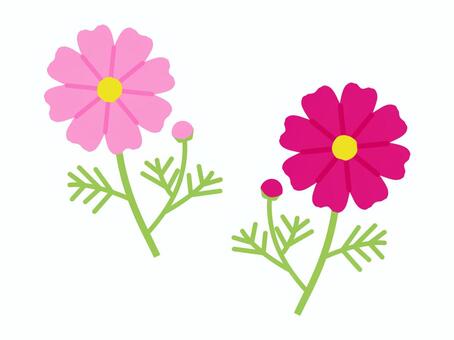 シンプルでかわいいコスモス（フラット） コスモス,秋桜,秋,花,9月,10月,植物,フラワー,ボタニカル,草花のイラスト素材