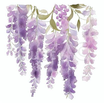 水彩タッチ 藤の花