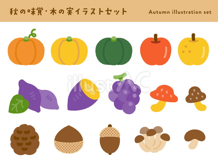 秋の味覚と木の実のイラストセット 秋,秋の味覚,セットのイラスト素材