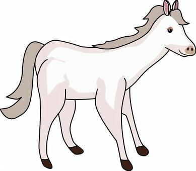 白馬　　 白馬,動物,野生,飼育,家畜,草食,かわいい,線画のイラスト素材
