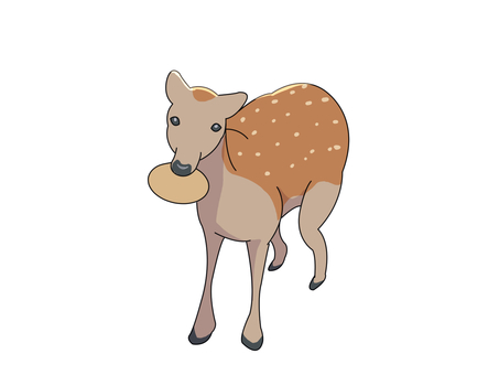 ニホンジカ(鹿せんべい) ニホンジカ(鹿せんべい) ニホンジカ,鹿,動物,奈良,鹿せんべいのイラスト素材