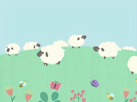Spring scenery, JPG Spring scenery, field, sheep, flower, JPG