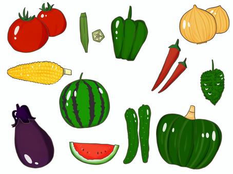 夏の野菜 夏,野菜,なす,スイカ,トマトのイラスト素材