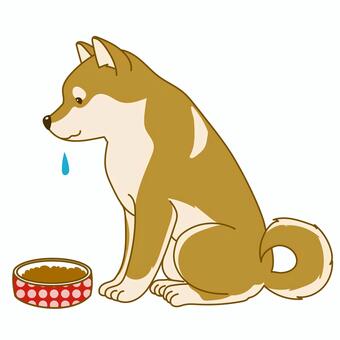 かわいい柴犬のシンプルイラスト待て 犬,ペット,柴犬,手描き,横向,嬉しい,かわいい,アクション,アニマル,挿絵のイラスト素材