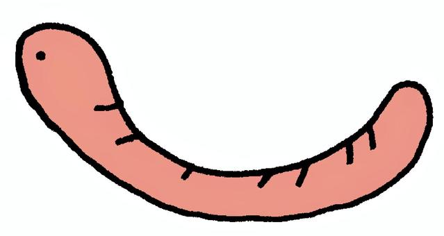 みみず2 ミミズ,昆虫,生き物,畑,土壌,釣り,餌,無脊椎動物,虫,横のイラスト素材