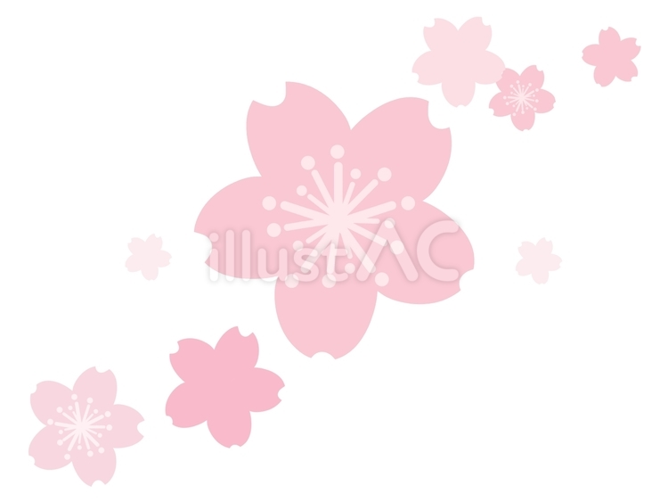 桜4 かわいい,ピンク,春のイラスト素材