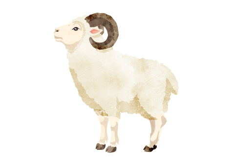 羊イラスト26 羊,未,干支,十二支,2027年,水彩画風,動物,イラスト,挿絵,カットのイラスト素材