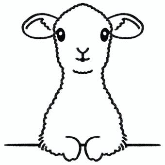 手描きの仔羊（線画） 仔羊,動物,赤ちゃん,未年,干支,羊,もこもこ,ふわふわ,手描き,色鉛筆のイラスト素材