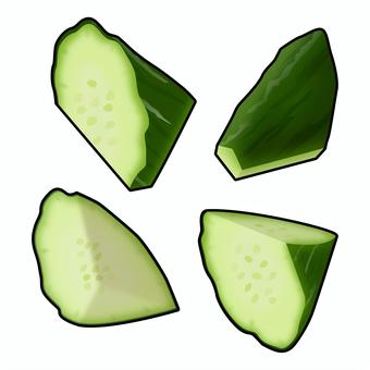 乱切りにしたきゅうりのリアルイラスト きゅうり,野菜,夏野菜,乱切り,栄養,健康,献立,食育,メニュー,レシピのイラスト素材