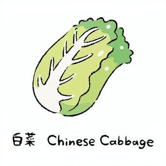 手描きの白菜2_名称入 白菜,野菜,アイコン,食べ物,シンプル,食材,健康,料理,農業,自然のイラスト素材