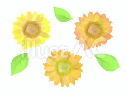 ひまわりのイラストセット