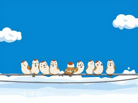 冬のすずめ03 すずめ,冬,空,雲,電線,快晴のイラスト素材