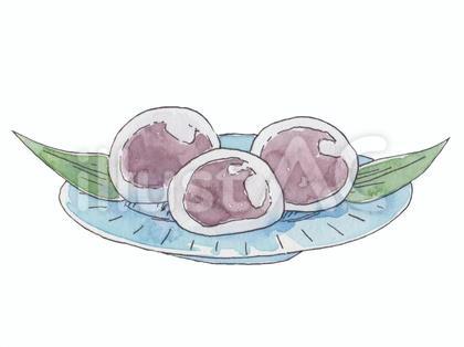 水饅頭 水彩