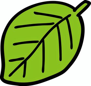 葉っぱ緑