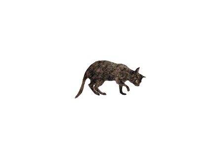 48ページ目 猫 待ち受けの写真素材 写真素材なら 写真ac 無料 フリー ダウンロードok