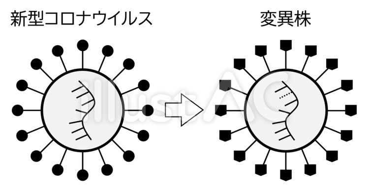 コロナウイルス、変異株ができる仕組み コロナ,ウイルス,変異株のイラスト素材