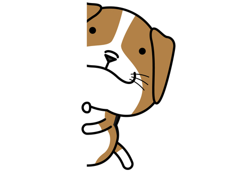 Illustration, peeping, chilla regardant, beagle, 