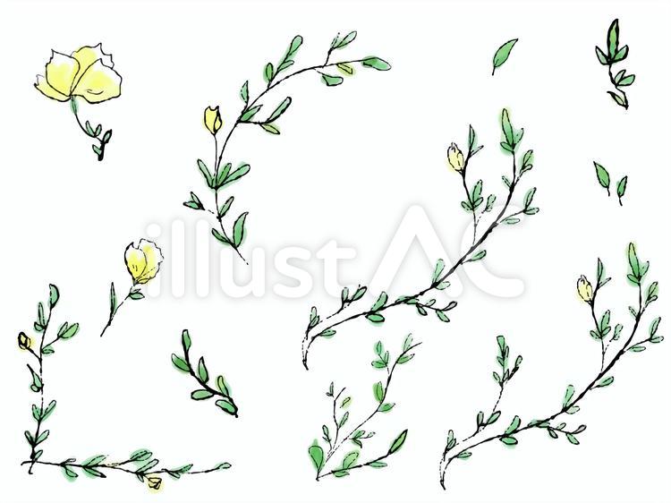 手描きのボタニカルイラスト 黄色い草花 イラスト No 無料イラストなら イラストac