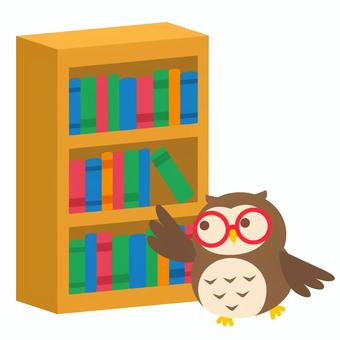 本棚とフクロウ（主線なし） フクロウ,本棚,本,キャラクター,斜め,図書,主線なしのイラスト素材