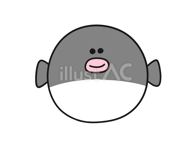 笑顔　黒いフグ　イラスト フグ,生き物,動物のイラスト素材