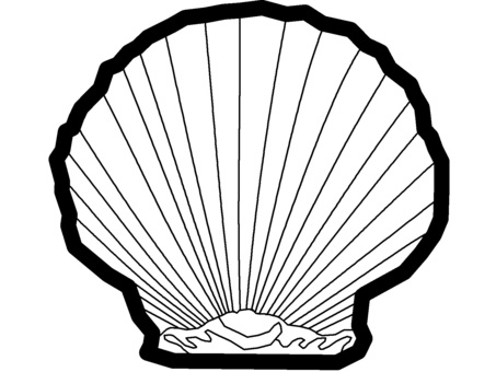 Colorless shell "scallop" icon, , JPG and PNG