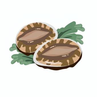 アワビ 小学校,中学校,高校,教材,授業,社会,あわび,貝類,海産物,食べ物のイラスト素材