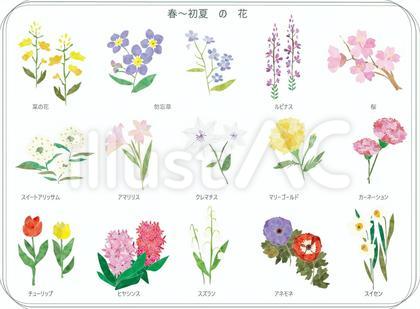 春 夏 花