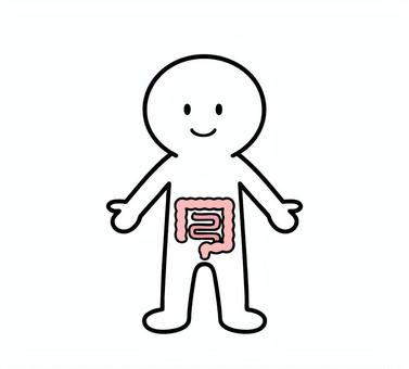 体の説明イラスト　大腸、小腸　棒人間 大腸,小腸,臓器,体,笑顔,棒人間,線画,キャラクター,手描き,手書きのイラスト素材