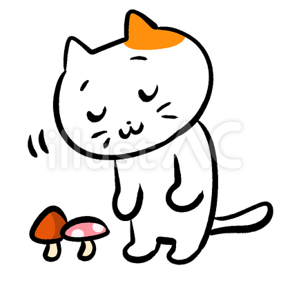 ごめんなさい 三毛猫ときのこ1