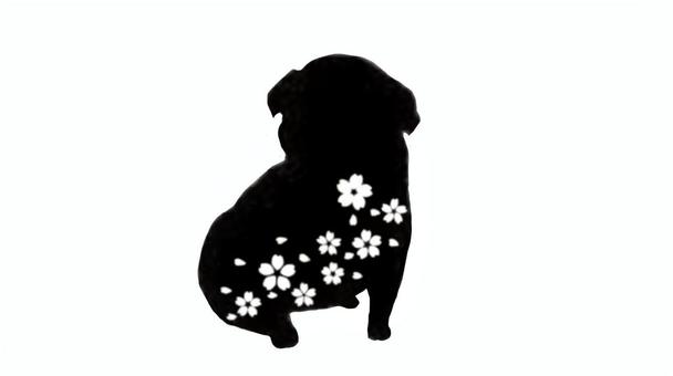 犬と桜のシルエット dog,桜,花,シルエット,彫刻,切り絵,デザイン,パグのイラスト素材