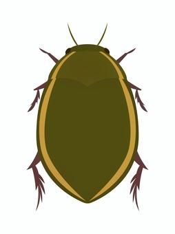Illustration, genghrow, insect, summer, 