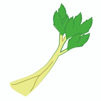 シンプルなセロリのイラスト セロリ,βカロテン,栄養,野菜,野菜スティック,ビタミン,抗酸化,抗酸化作用,ビタミンc,老化のイラスト素材